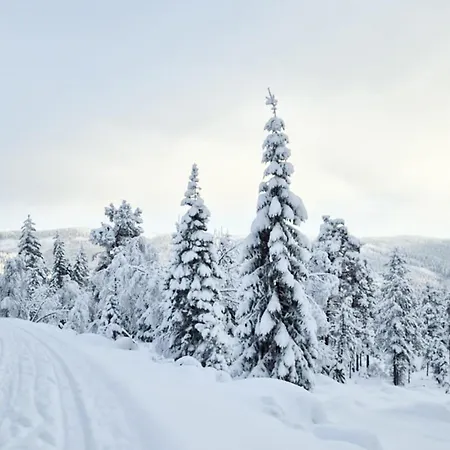 Beautiful In Skollenborg