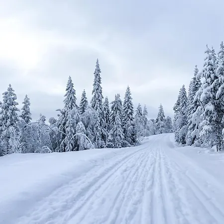 Beautiful In Skollenborg Hébergement de vacances