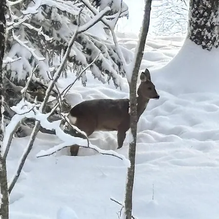 Beautiful In Skollenborg Hébergement de vacances