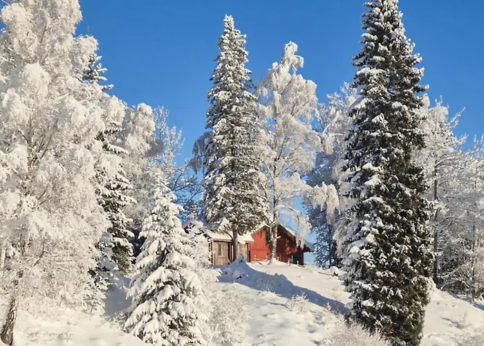 Semesterbostad Beautiful In Skollenborg *