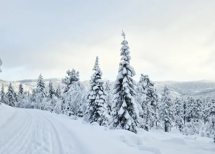 Beautiful In Skollenborg