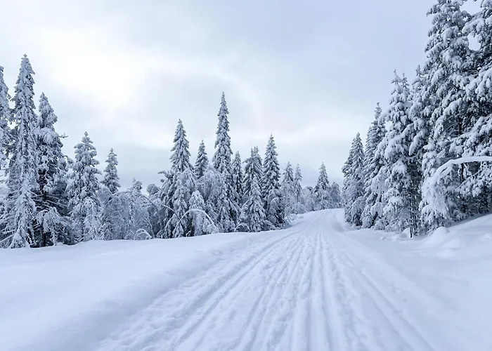 Beautiful In Skollenborg Hébergement de vacances