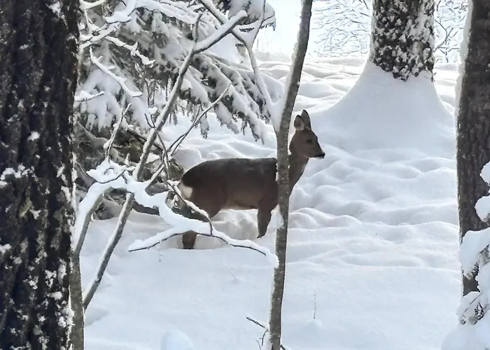 Beautiful In Skollenborg Semesterbostad